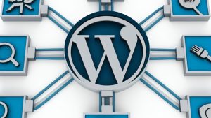 The role of plugins in WordPress functionality.